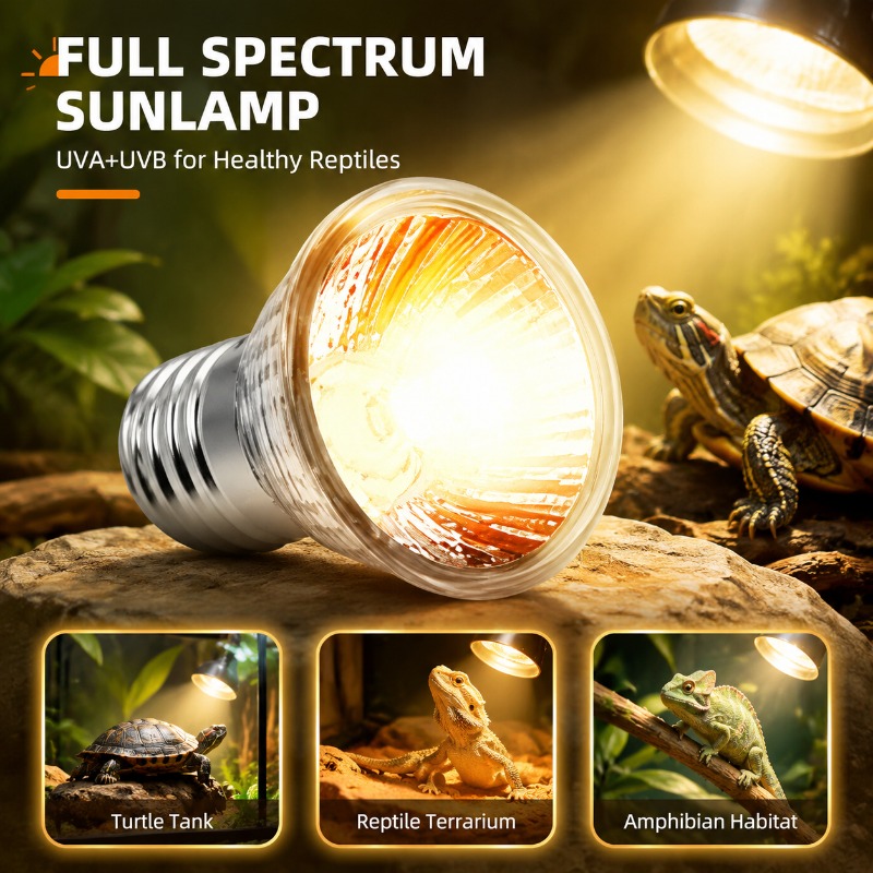 Multi-use Pet Basking Heat Lam - Calcium Powder Reptile 리뷰 및 가격