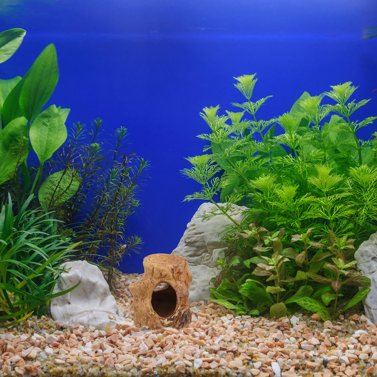 Pleco Caves Fish Tank Decorati - Hide Cave Ceramic 리뷰 및 가격