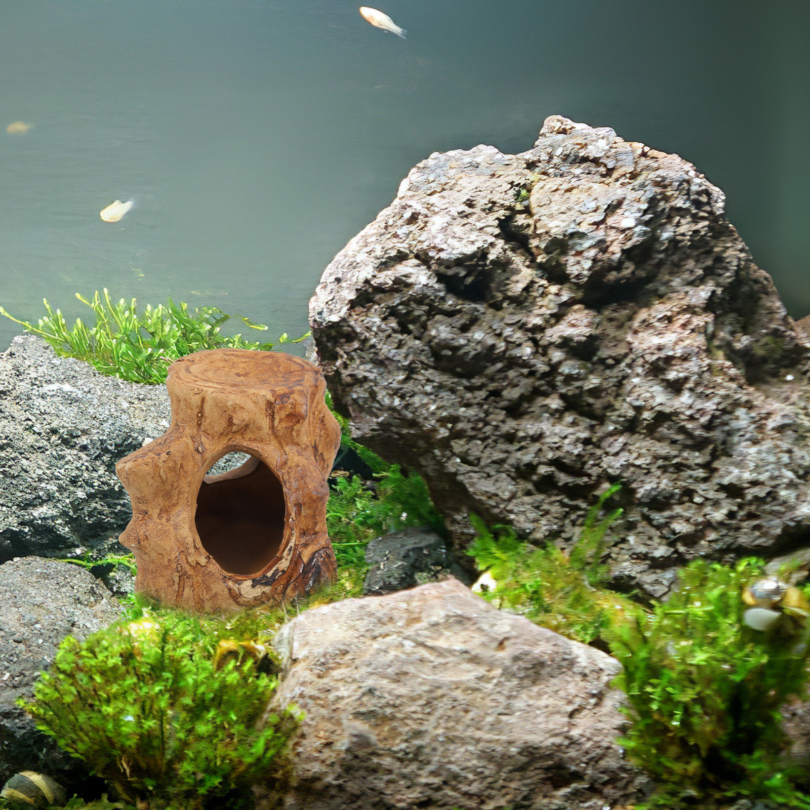 Pleco Caves Fish Tank Decorati - Hide Cave Ceramic 리뷰 및 가격