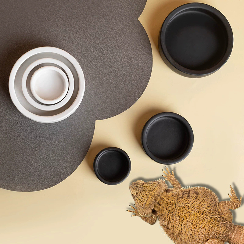 HOT! Reptile Food Bowl Anti-Es - Water Dish Reptile 리뷰 및 가격