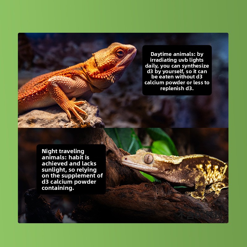 Reptizoo Reptile Calcium Powde - Calcium Powder Reptile 리뷰 및 가격
