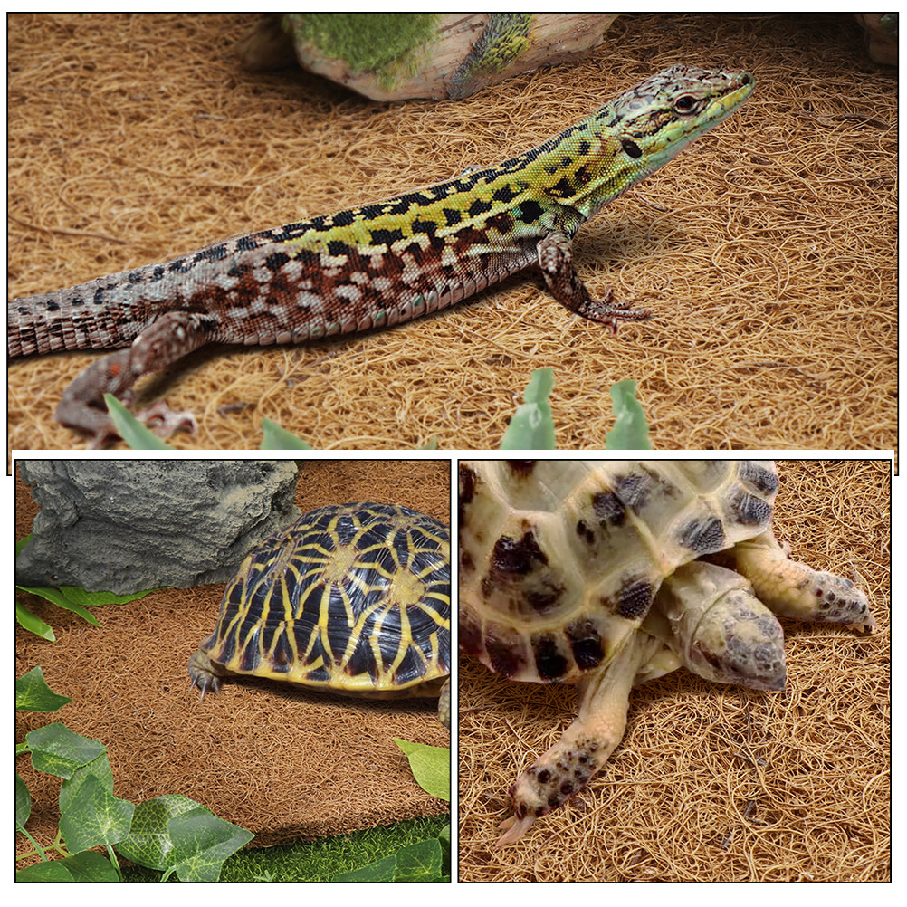 Reptile Carpet Natural Coconut - Substrate Coconut Fiber 리뷰 및 가격