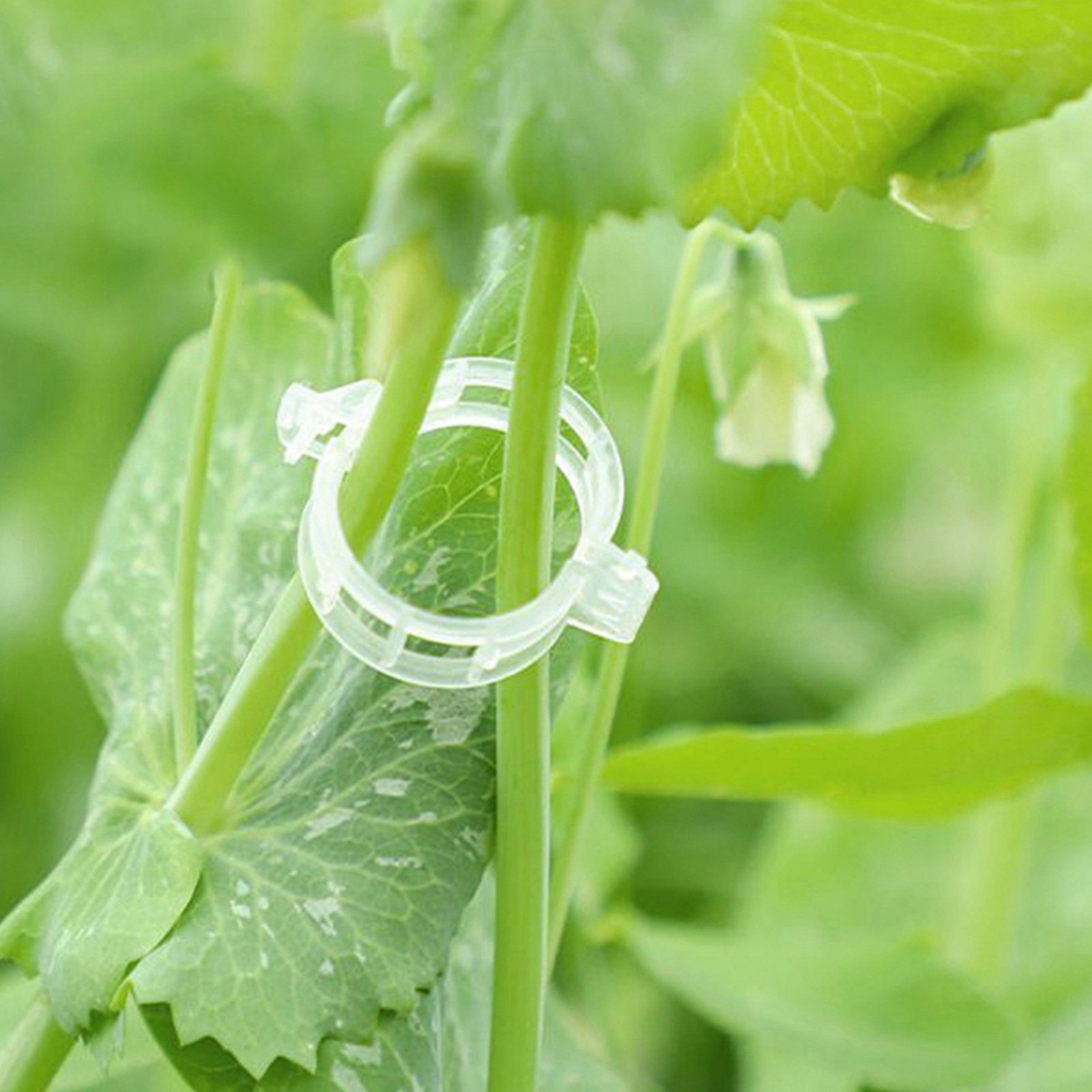 400Pcs Tomato Clips Plastic Ve - Vine Climbing Plastic 리뷰 및 가격