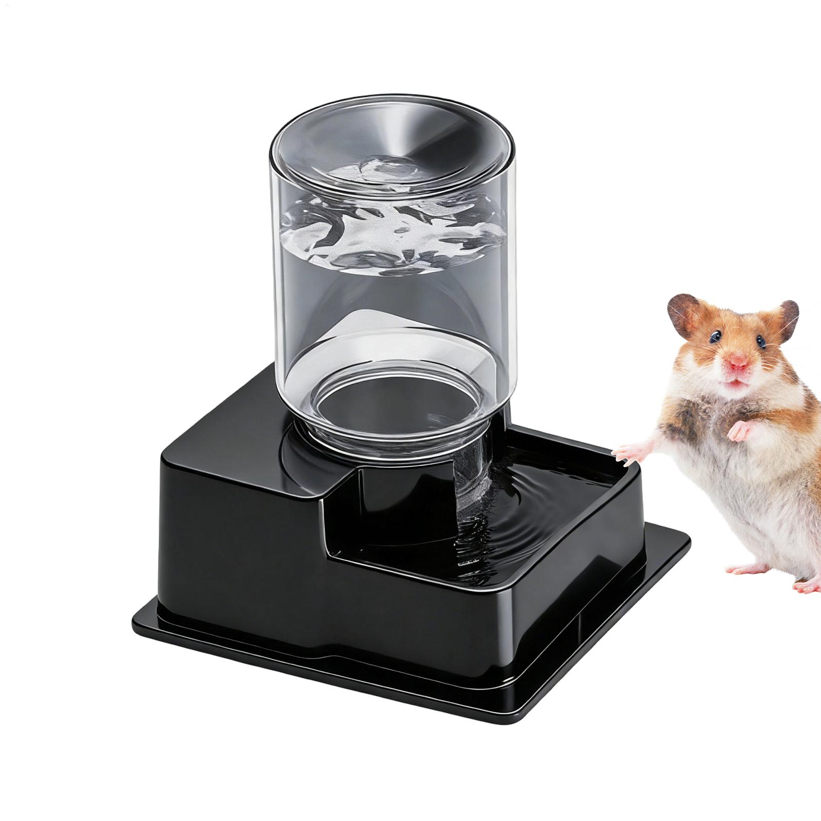 Bearded Dragon Water Fountain  - Water Dish Reptile 리뷰 및 가격