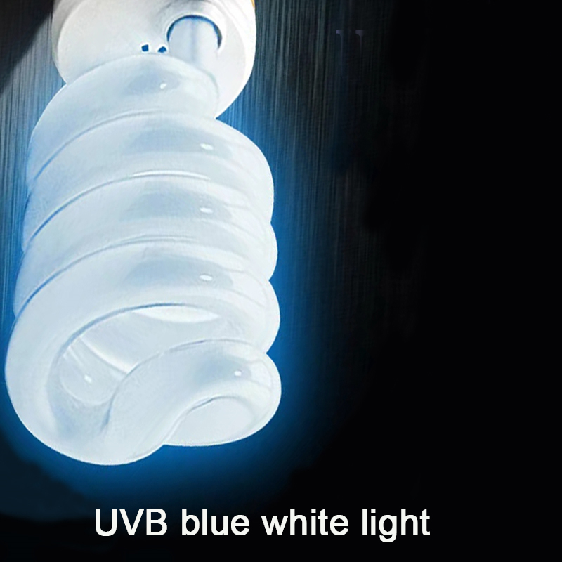 E27 13W/26W Reptile Uvb Lamp   - Calcium Powder Reptile 리뷰 및 가격