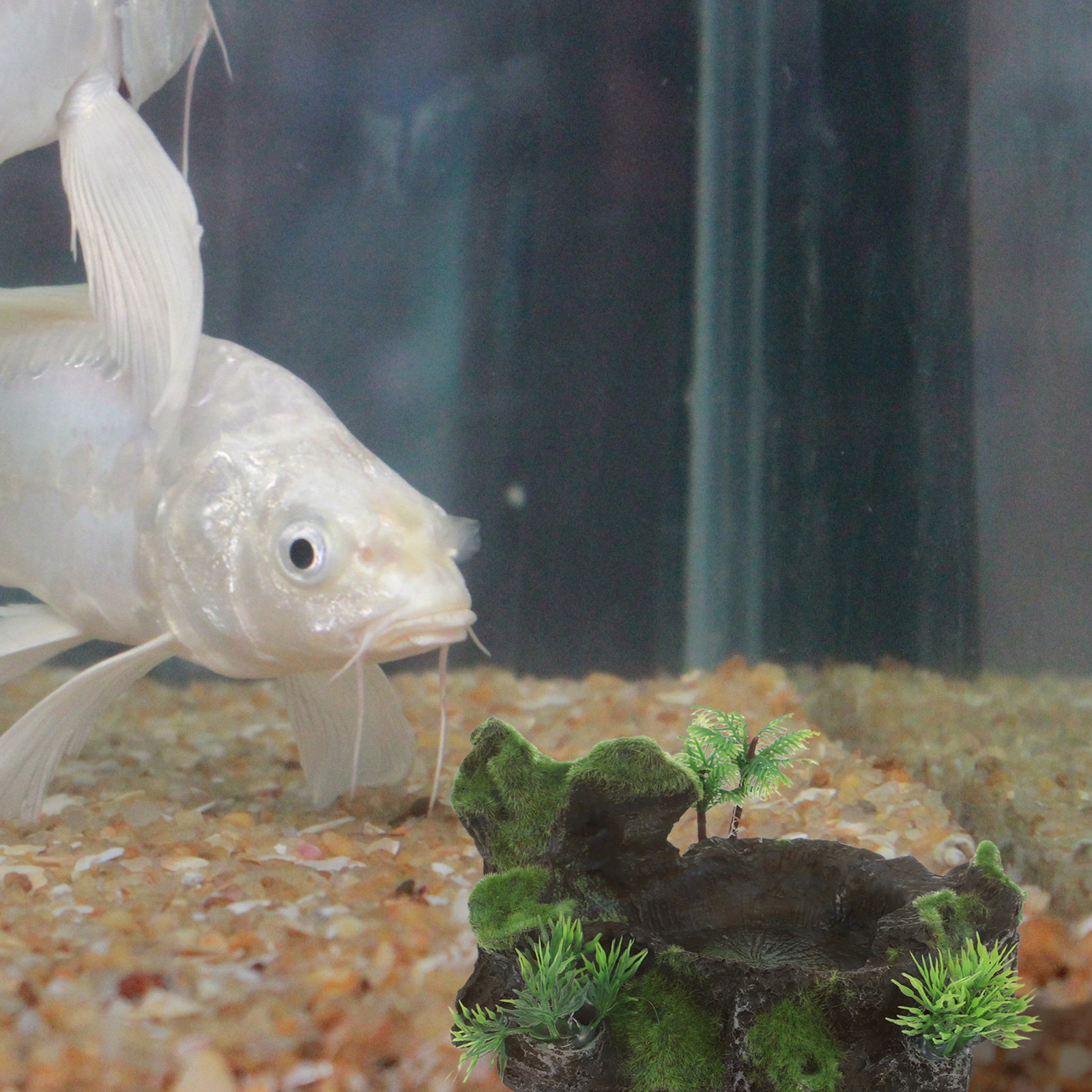 Realistic Stone Design Reptile - Water Dish Reptile 리뷰 및 가격