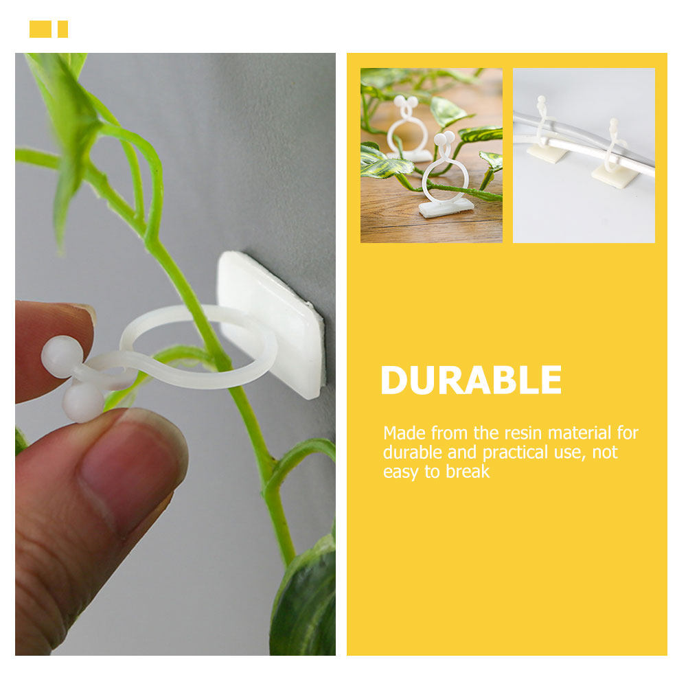 100Pcs Plant Climbing Wall Fix - Vine Climbing Plastic 리뷰 및 가격