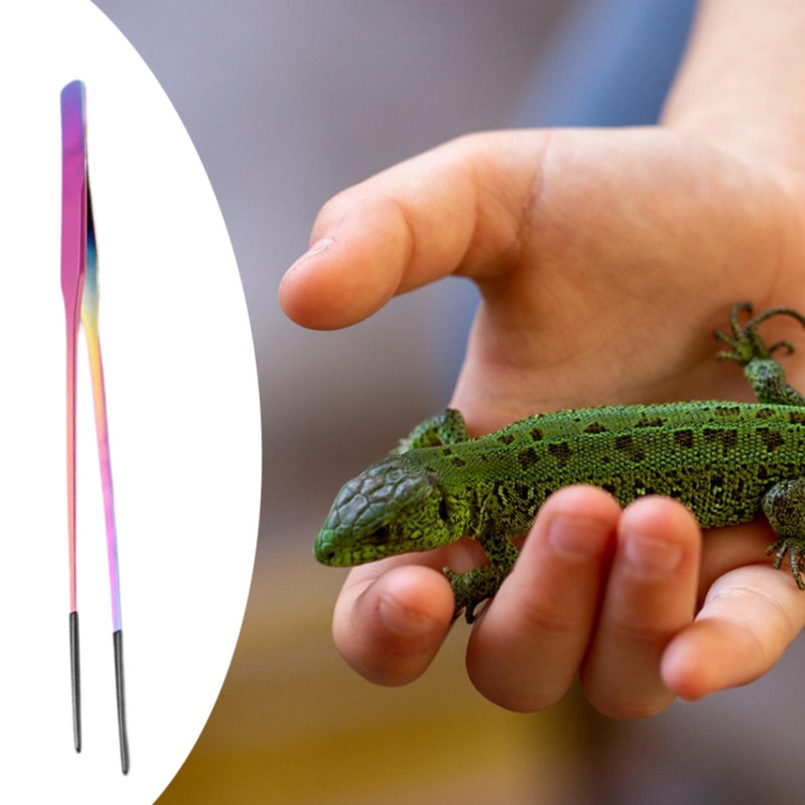 Reptile Feeder Tongs Soft Sili - Feeding Tong Stainless 리뷰 및 가격