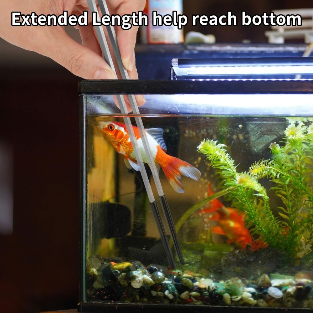 Stainless Steel Aquarium Feedi - Feeding Tong Stainless 리뷰 및 가격