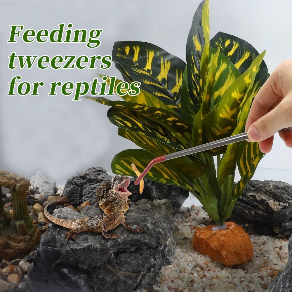 Stainless Steel Aquarium Feedi - Feeding Tong Stainless 리뷰 및 가격