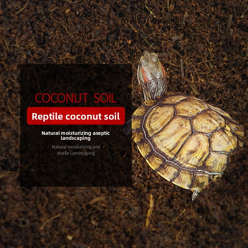 WAJABABY Ready-to-Use Coco Coi - Substrate Coconut Fiber 리뷰 및 가격