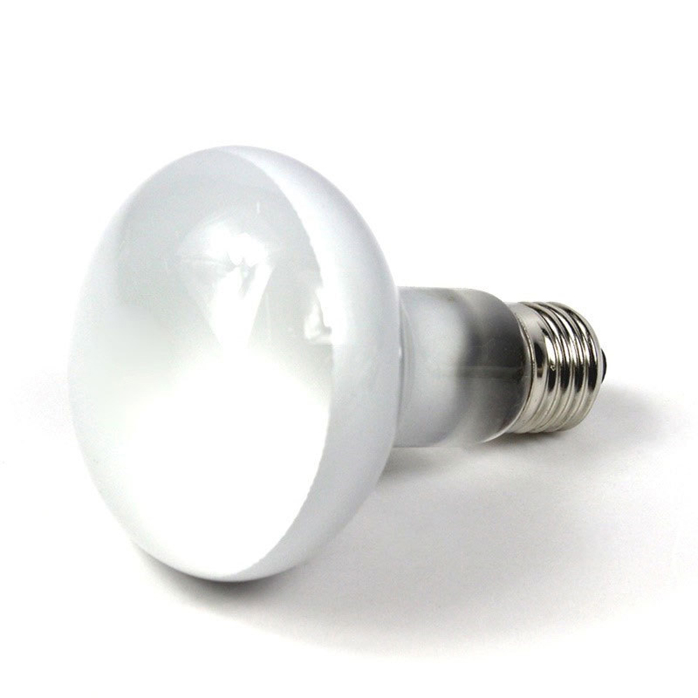 Lizard Heater Temperature Cont - Basking Bulb Halogen 리뷰 및 가격