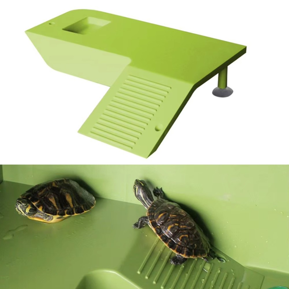 Water Land Slope Box Feeding C - Water Dish Reptile 리뷰 및 가격
