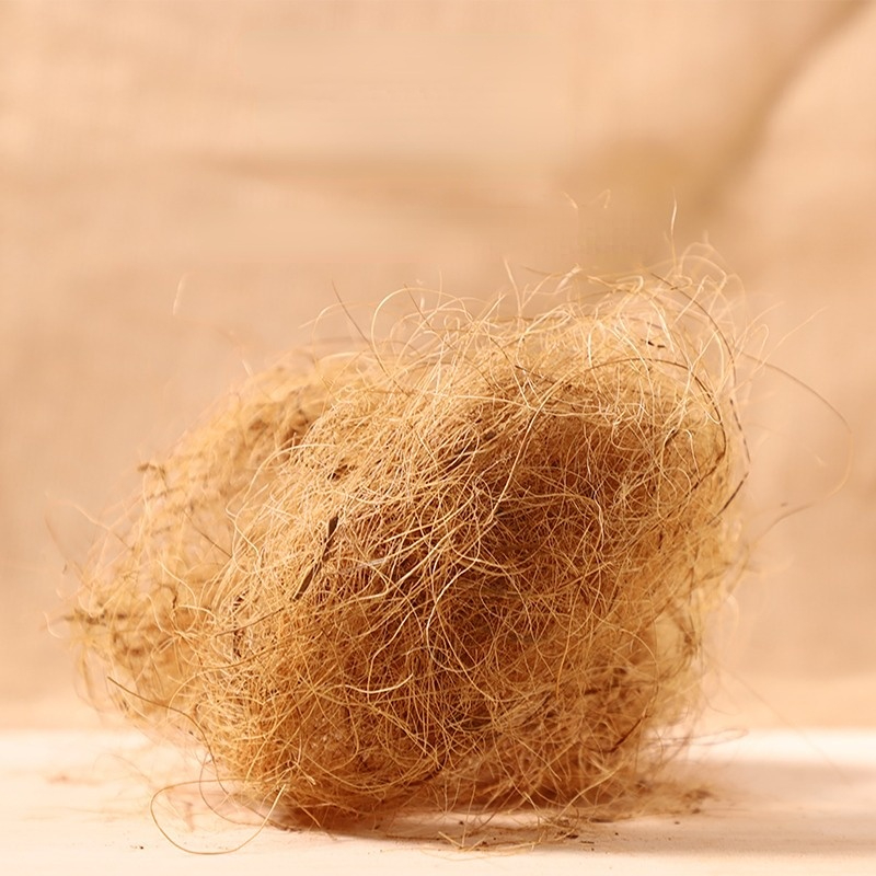 100g Finch Coconut Fiber Loose - Substrate Coconut Fiber 리뷰 및 가격