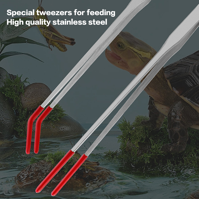 Reptile Feeding Tongs with Rub - Feeding Tong Stainless 리뷰 및 가격
