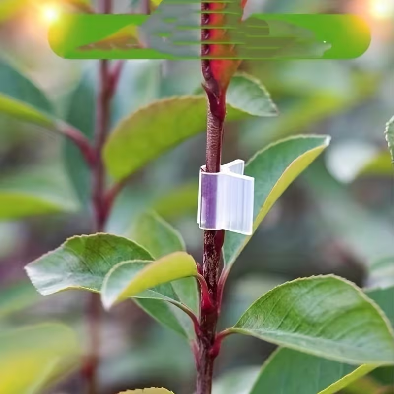 50pcs Agriculture Grafting Cli - Vine Climbing Plastic 리뷰 및 가격