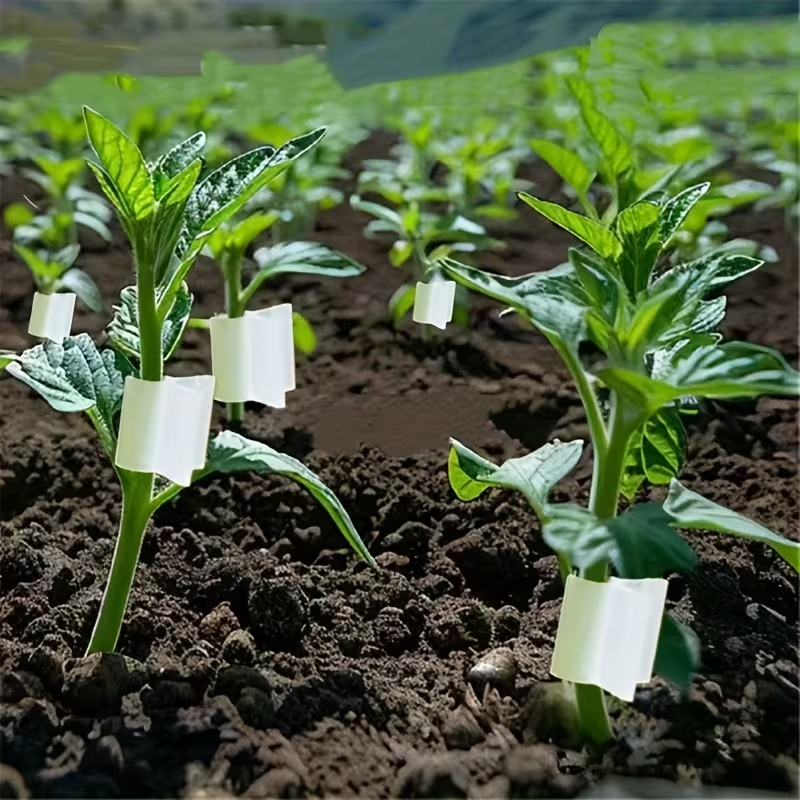 50pcs Agriculture Grafting Cli - Vine Climbing Plastic 리뷰 및 가격