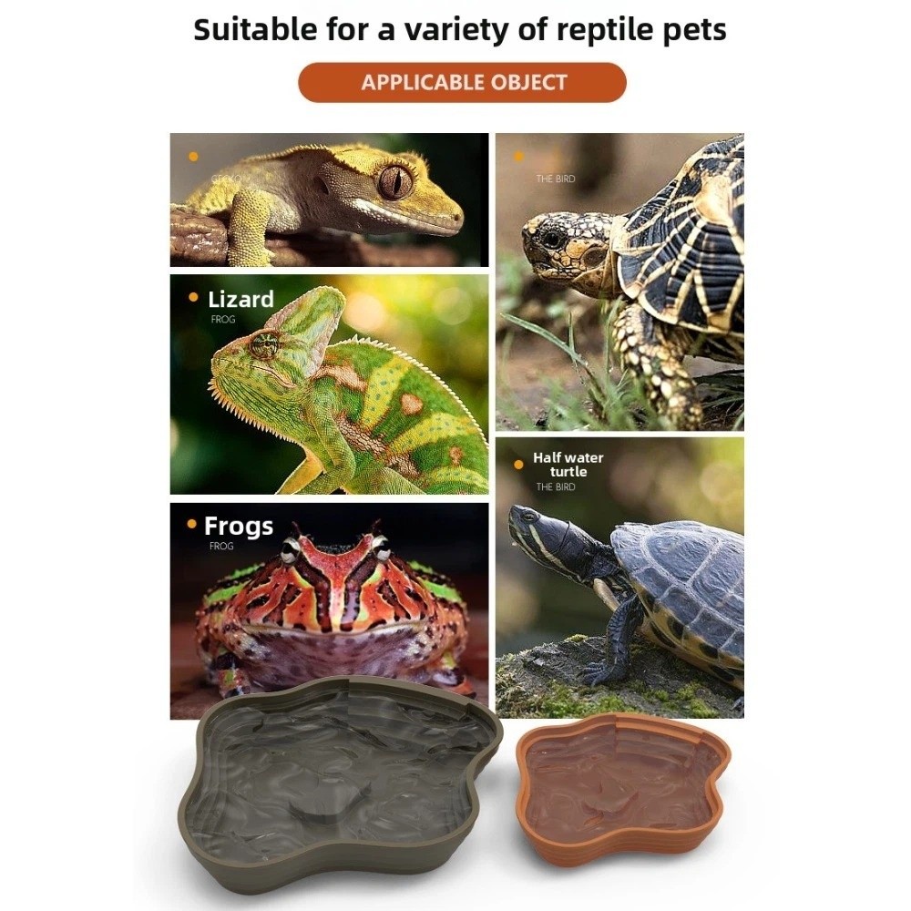 New Plastic Turtle Water Basin - Water Dish Reptile 리뷰 및 가격