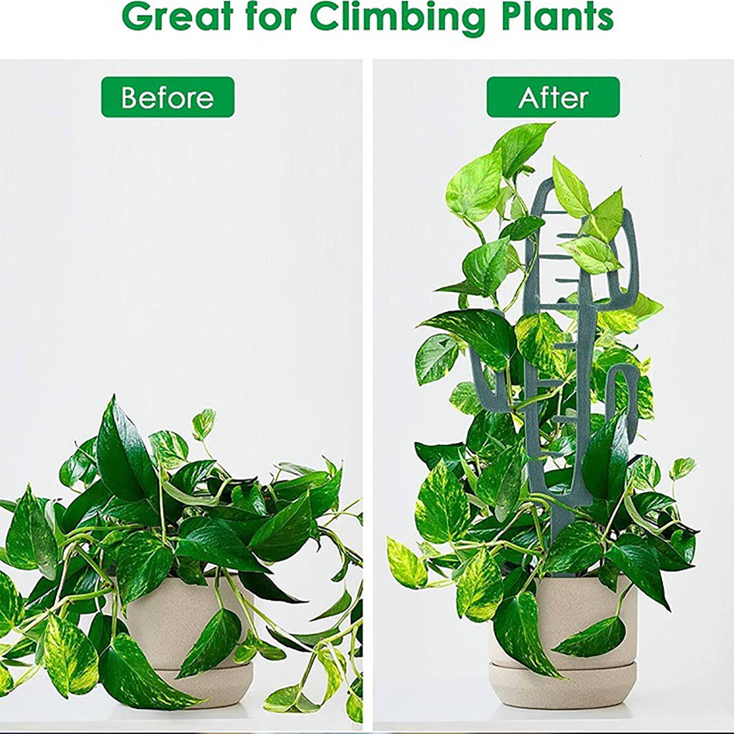 Plant Climbing Support Stand F - Vine Climbing Plastic 리뷰 및 가격