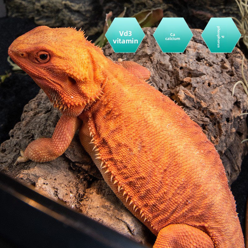 SuperRep Reptile Calcium Pro-V - Vitamin D3 Reptile 리뷰 및 가격