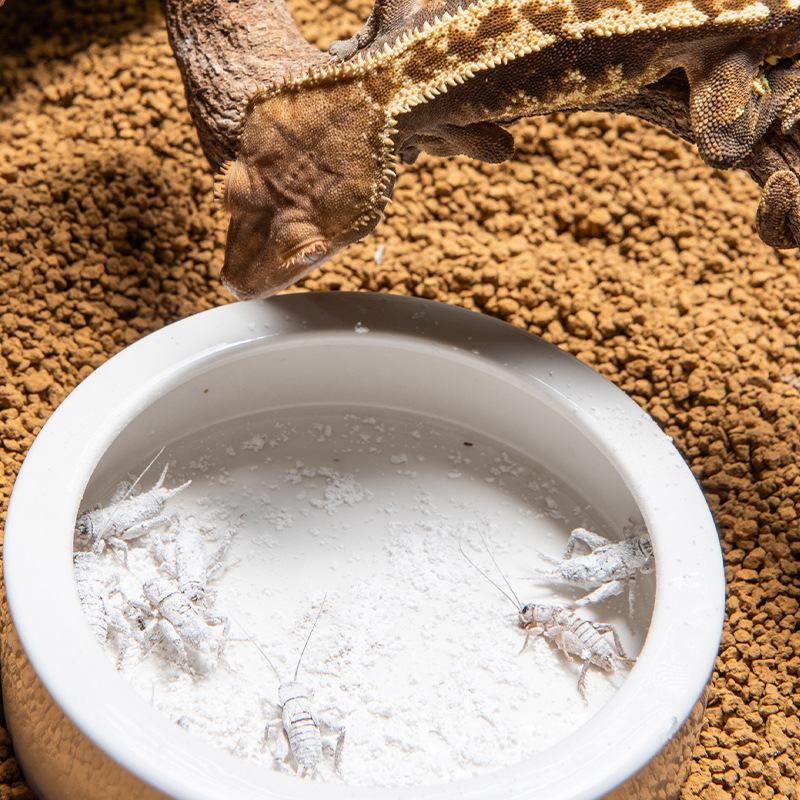 SuperRep Reptile Calcium Pro-V - Vitamin D3 Reptile 리뷰 및 가격