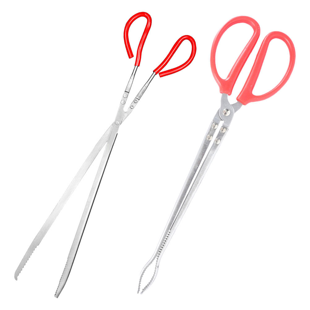 2Pcs Stainless Steel Snake Ton - Feeding Tong Stainless 리뷰 및 가격