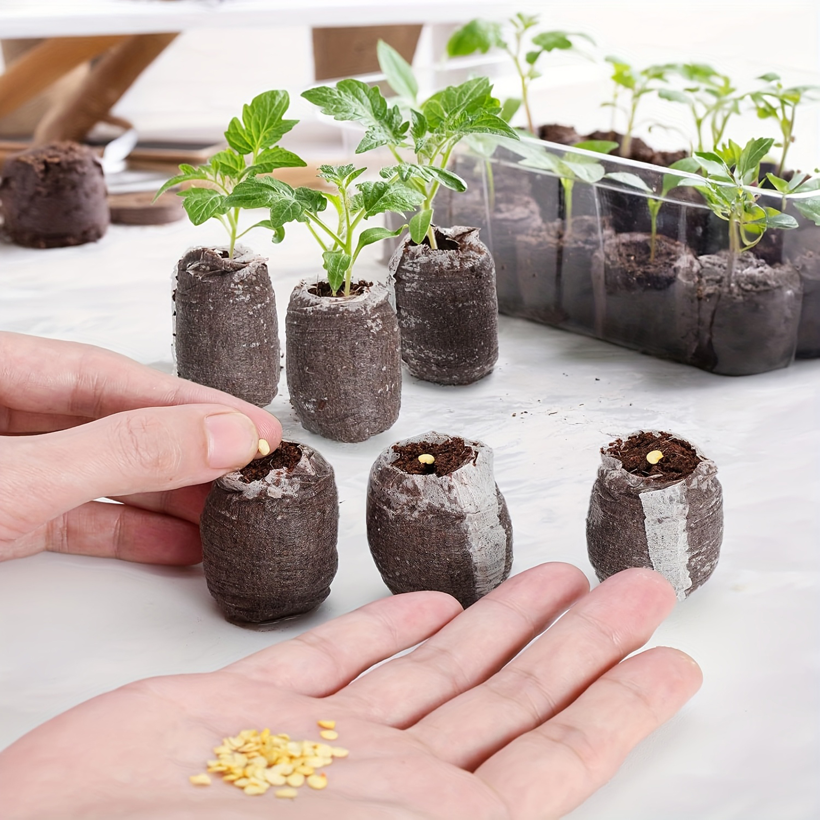 10/20/50pcs Plant Growth Bags  - Substrate Coconut Fiber 리뷰 및 가격