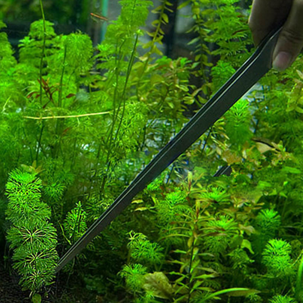 10.5 Inch Reptile Feeding Tong - Feeding Tong Stainless 리뷰 및 가격